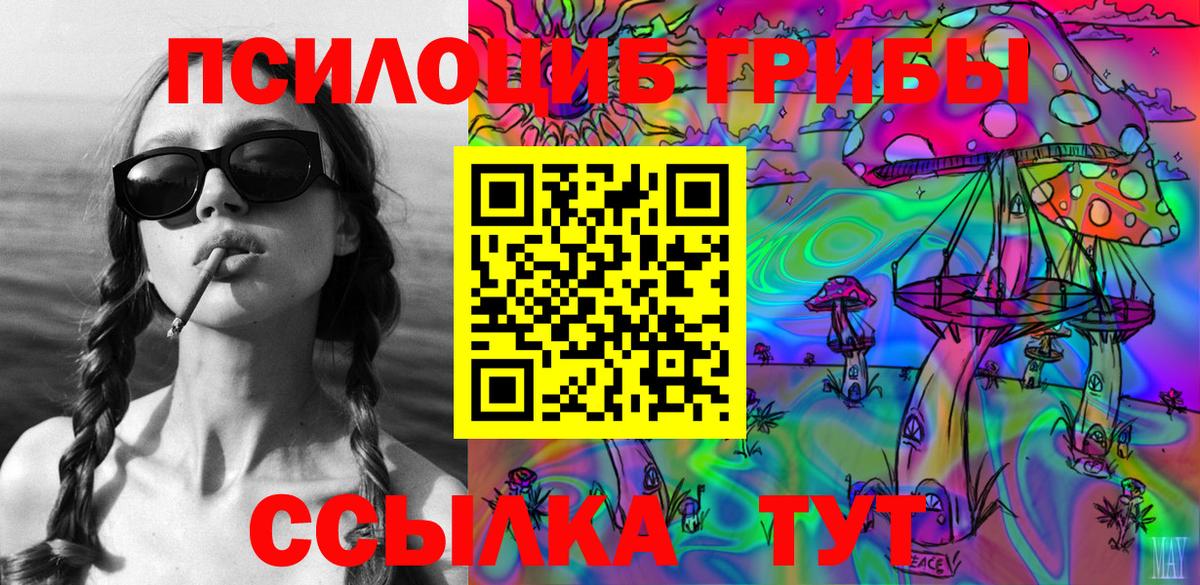 Псилоцибиновые грибы Psilocybine cubensis Аксай